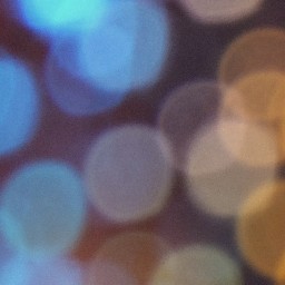 Bokeh-305
